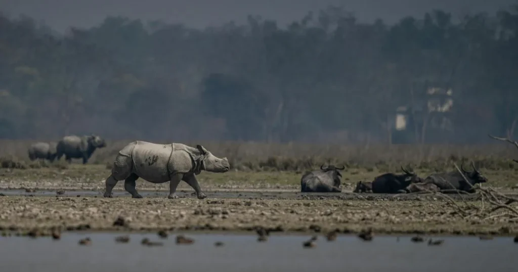 GK Questions on Wildlife Sanctuary